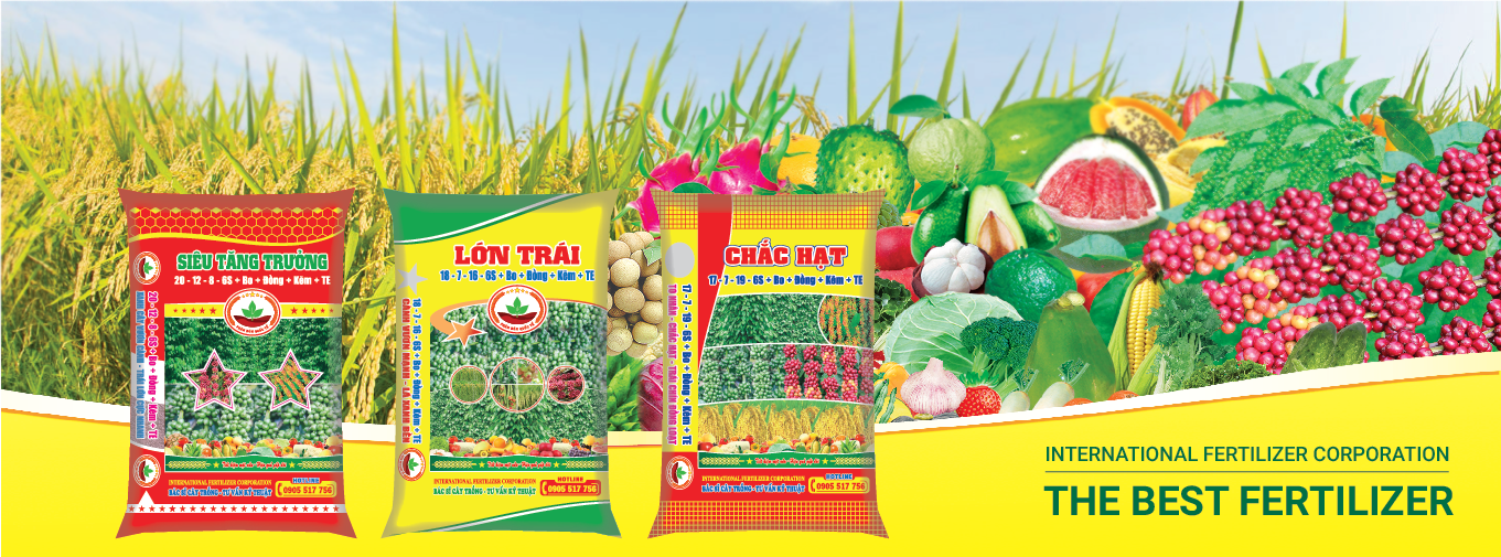 Banner trang chủ 3